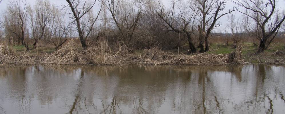 
            Фотография Луначарского