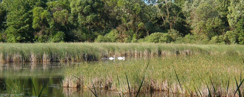 Фотография деревни Сеньковичи