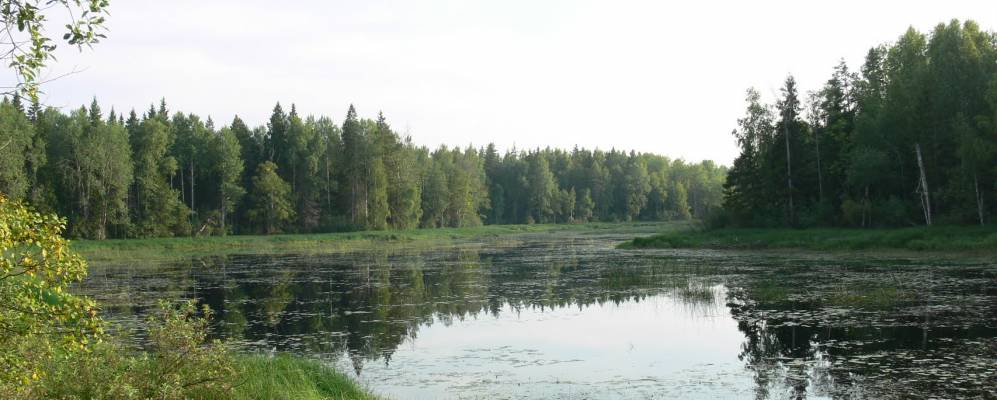 Фотография Берега