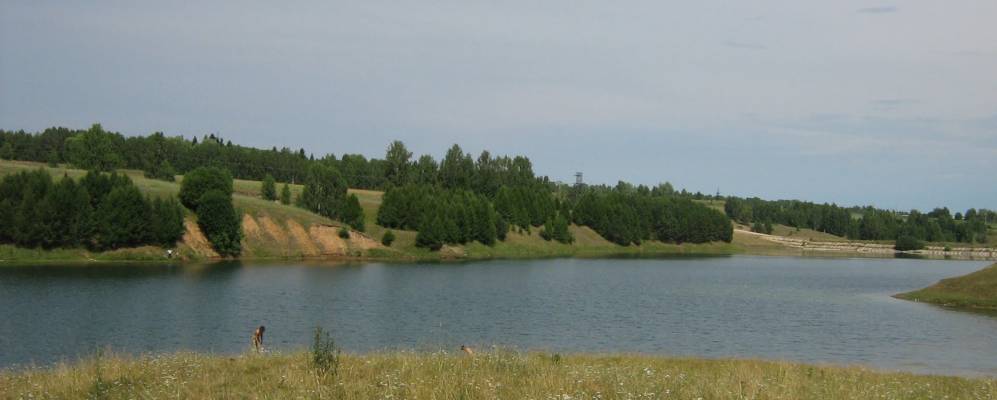 
            Фотография Сосновки