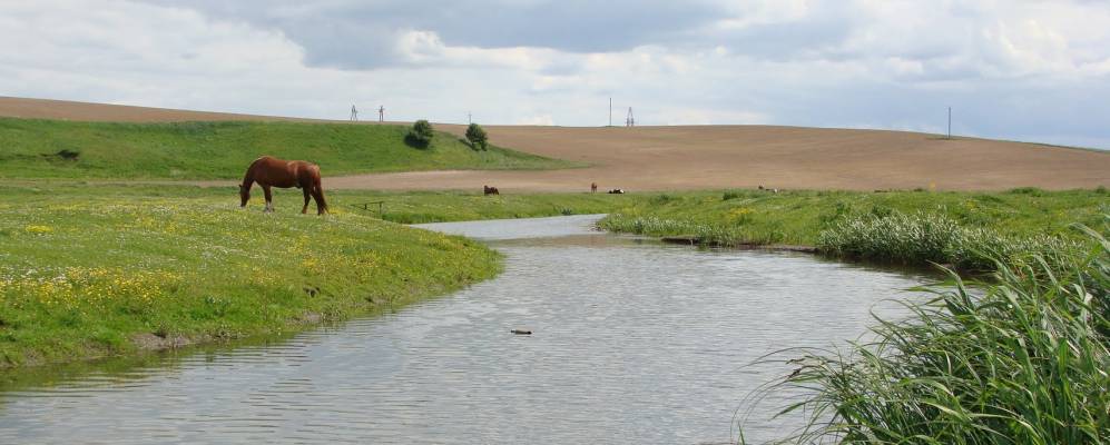 
            Фотография Старожукова