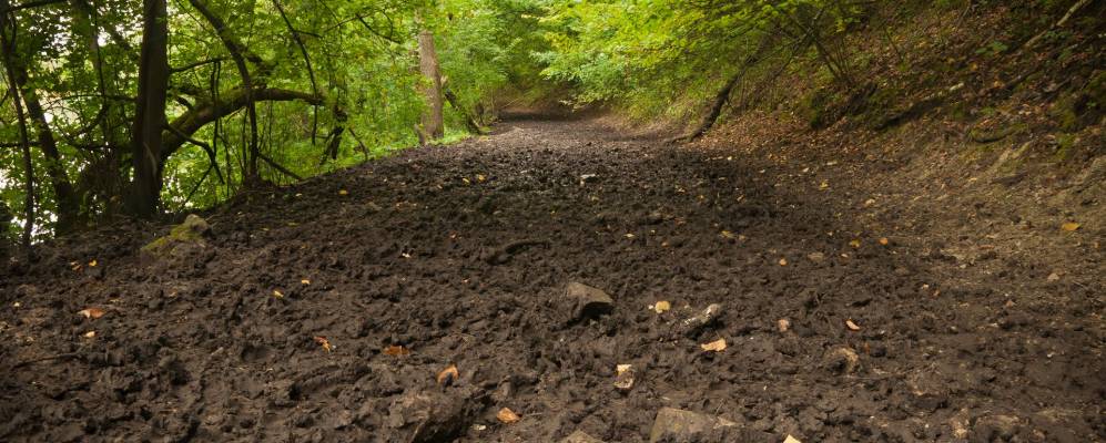 
            Фотография Труженика