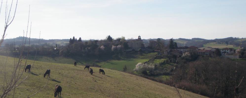 
            Фотография Сен-Лоран