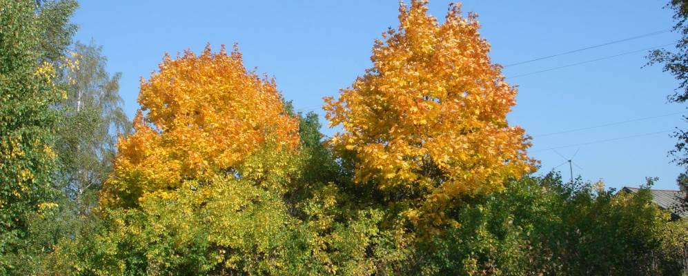 
            Фотография Молодилово