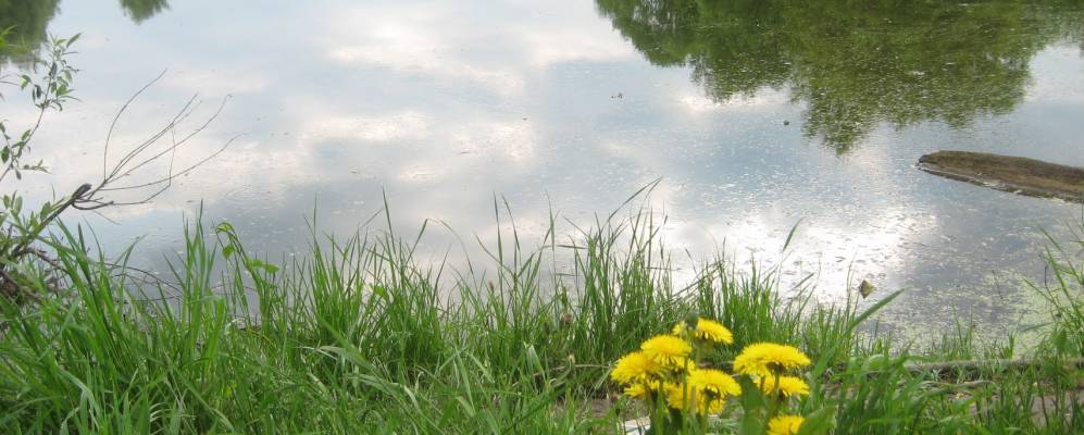 Фотография Покослово