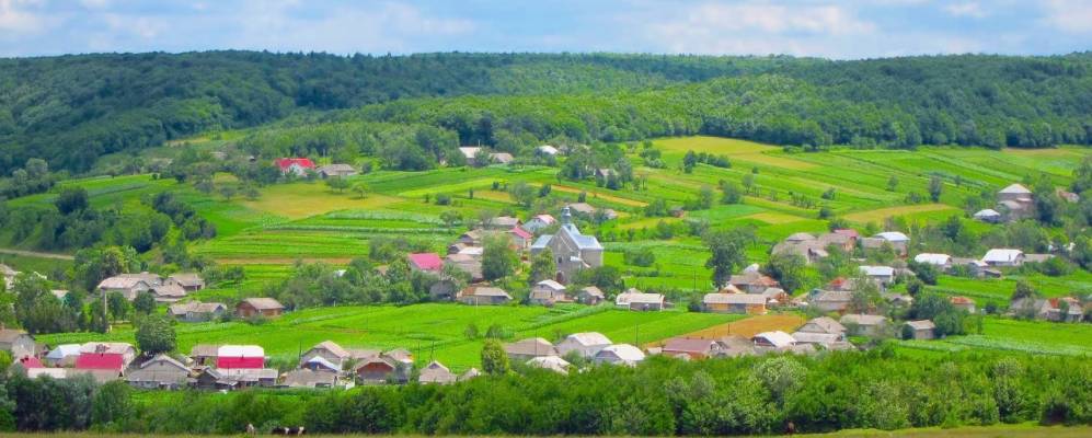 
            Фотография Светлого