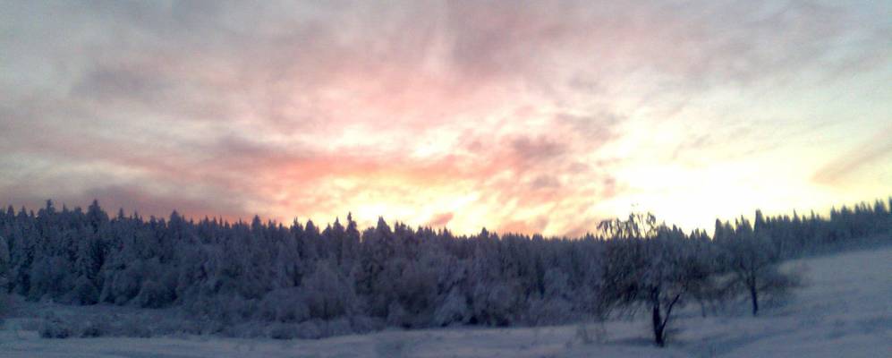 
            Фотография Тихой