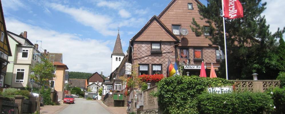 
            Фотография Polle