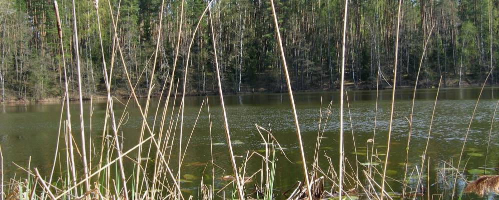 Фотография Обухово