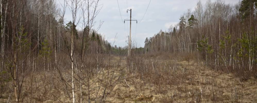 Фотография Марфино