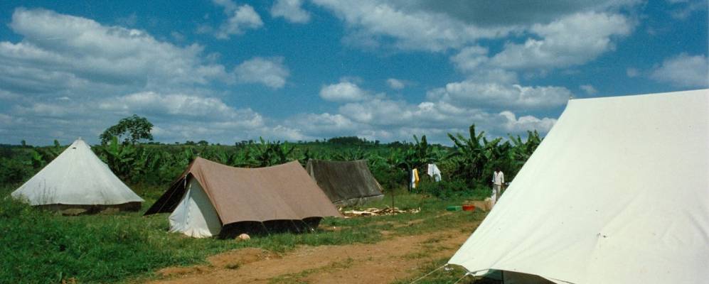 
            Фотография Нгози