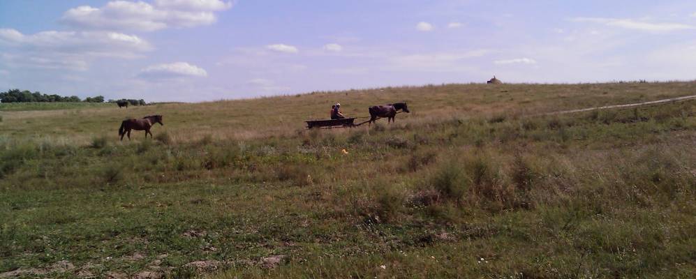 
            Фотография Павленковки