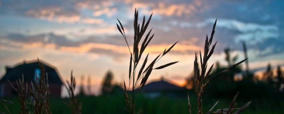 
            Фотография Дворцовой Слудки