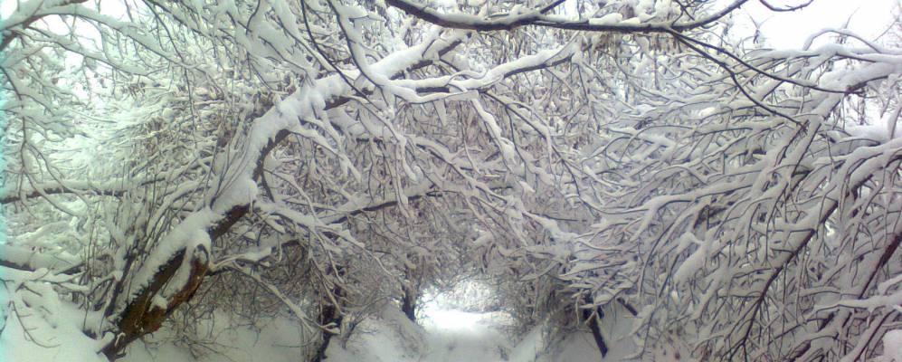 
            Фотография Кривого Хутора