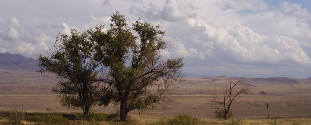 Фотография Сапака