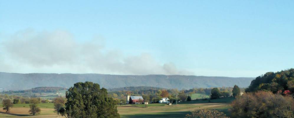 
            Фотография Тимбервилла