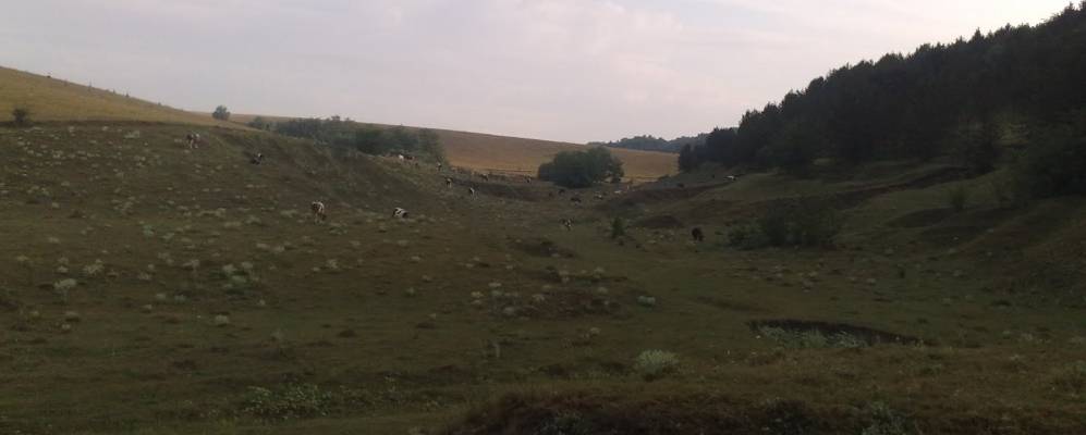 
            Фотография Щербовцы