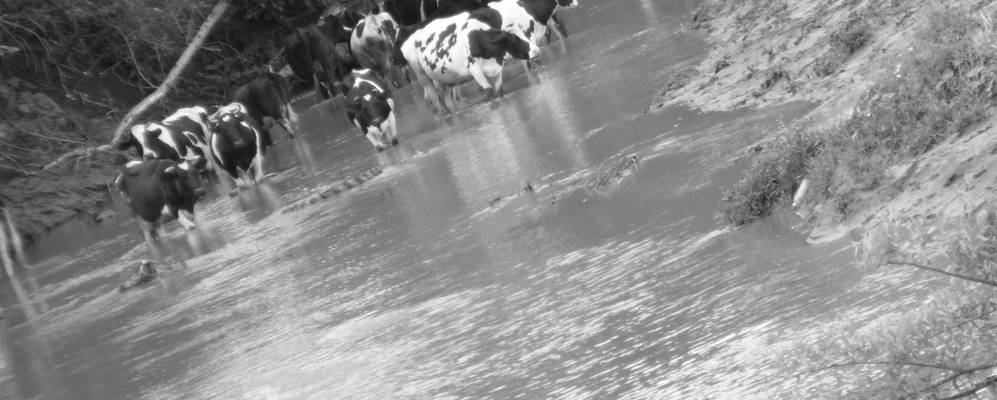 
            Фотография Среднего Таканыша