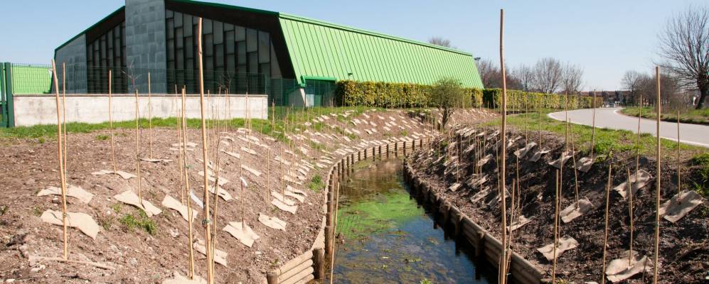 
            Фотография Геди