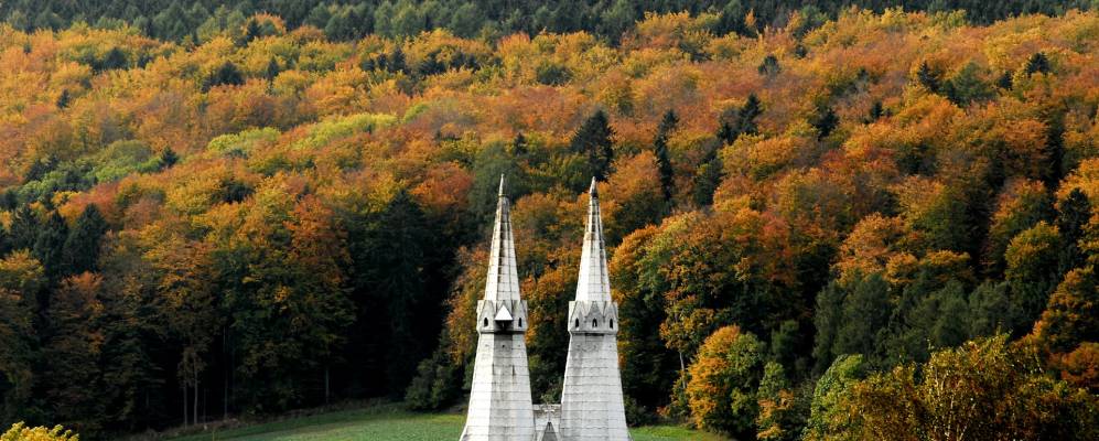 
            Фотография Калефельда