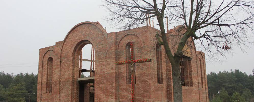 
            Фотография Шабельни