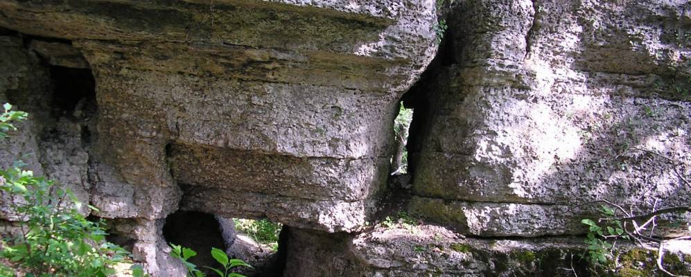 Фотография Бараново