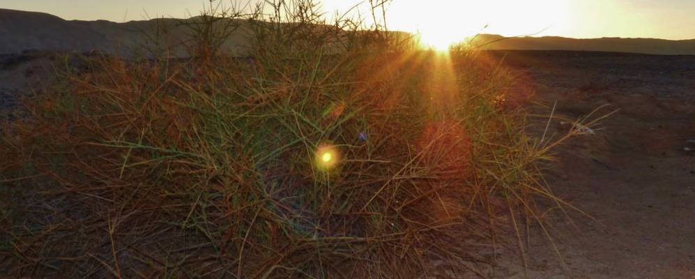 
            Фотография Нахал Шиттима