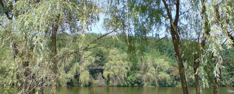 
            Фотография Петро-Свистуново