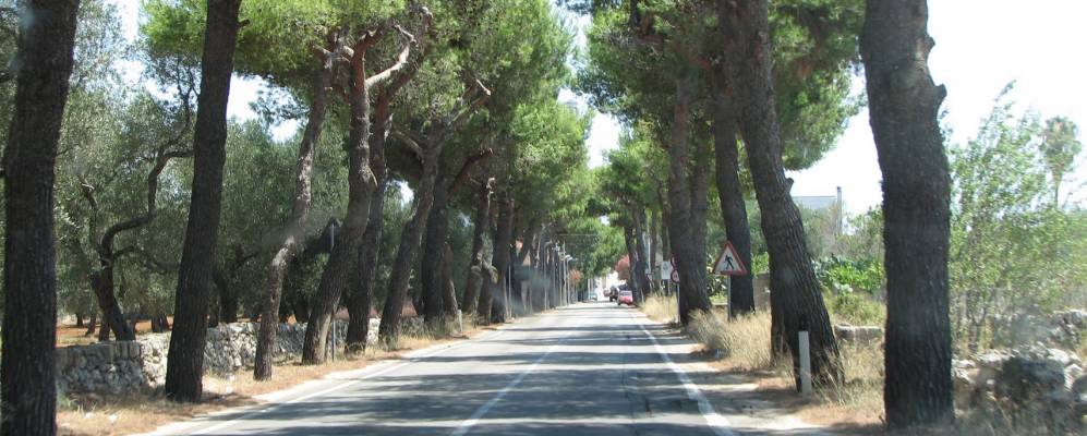 
            Фотография Кастри Лечче