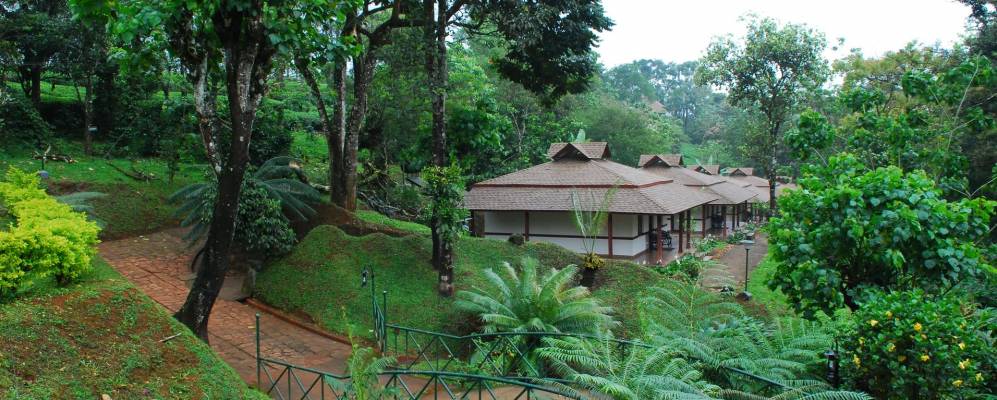 
            Фотография Венденмедуи