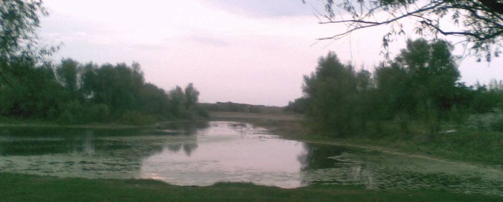 
            Фотография Дмитровки