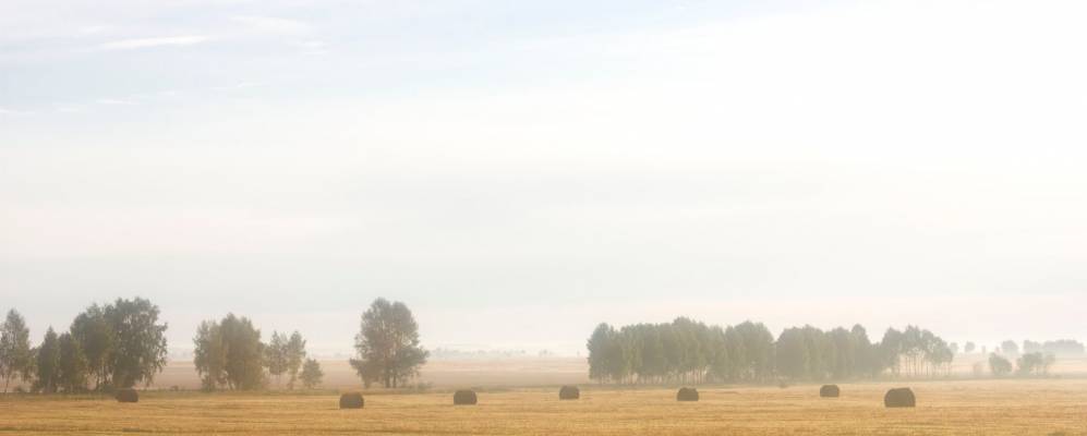 
            Фотография Дружной