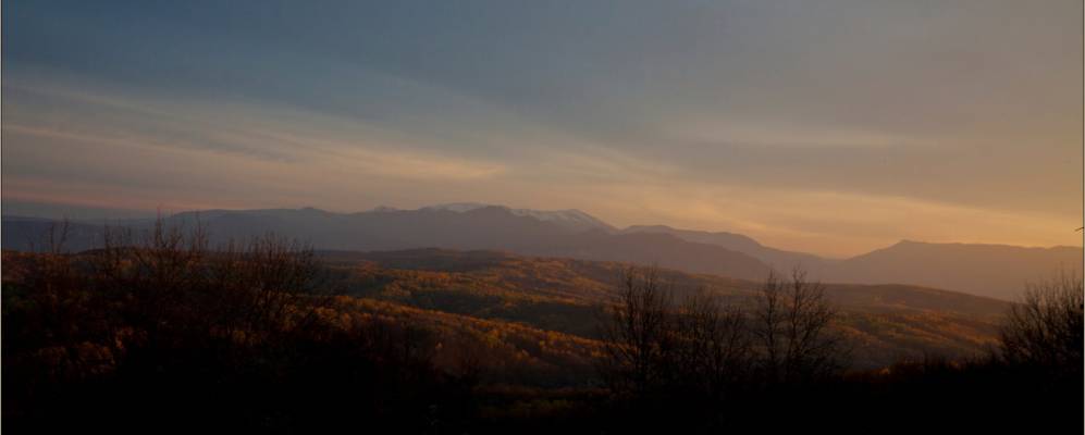 
            Фотография Безводной