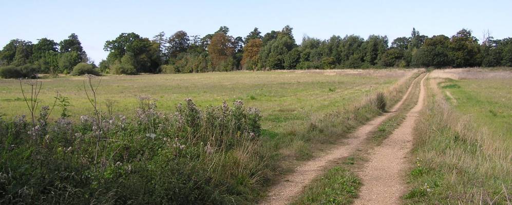 Фотография Бакдена