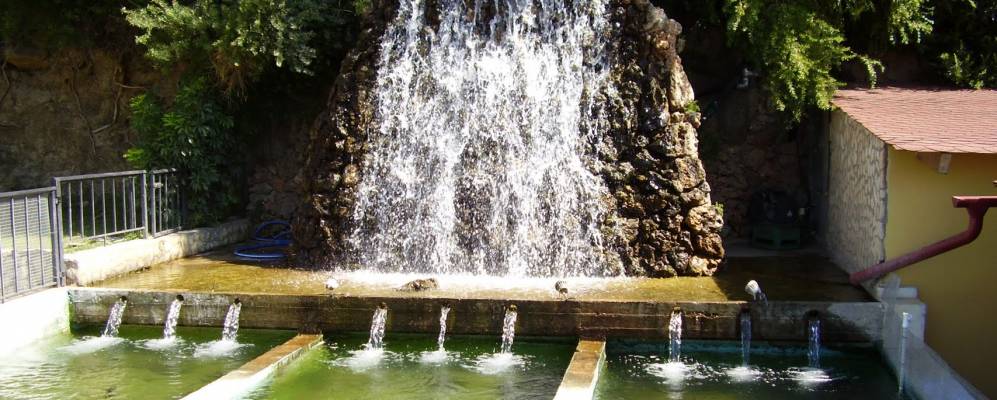 
            Фотография Зароса