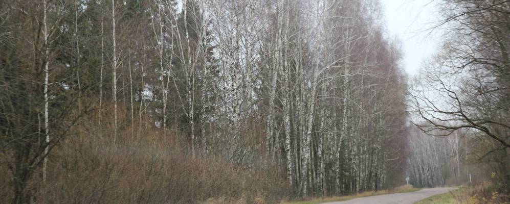 Фотография Быковки