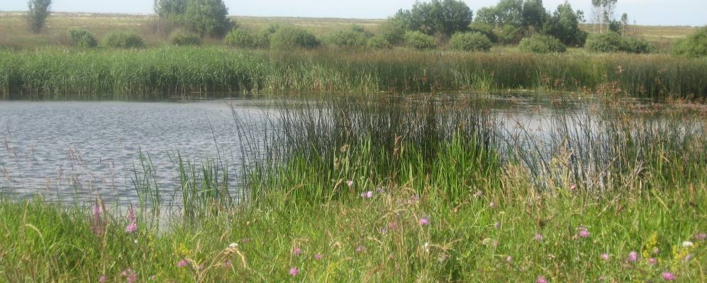 Фотография Большого Бушково