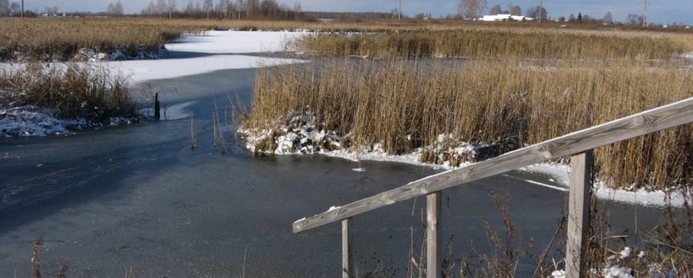 
            Фотография деревни Бабки