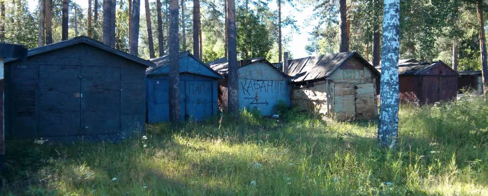 Фотография Зимней