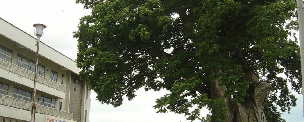 
            Фотография Хигасинэ