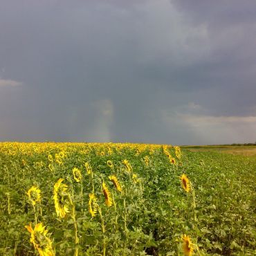 Новопавловка