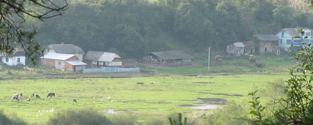 
            Фотография Верхняковцы