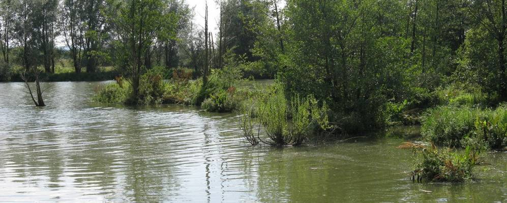 
            Фотография Мюр-ам-Зее