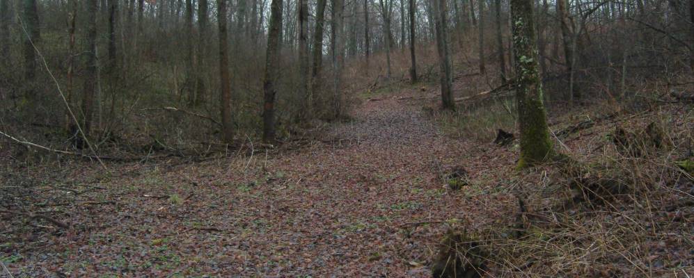 Фотография Сухой