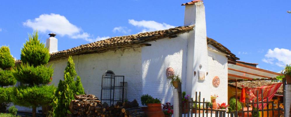 
            Фотография Платаноса