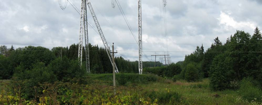 
            Фотография Никольского