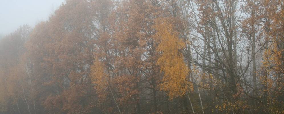 Фотография Петино