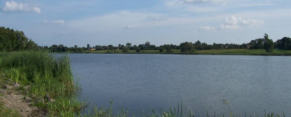 
            Фотография Быстрика