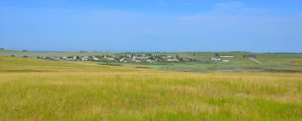 
            Фотография Смородинки