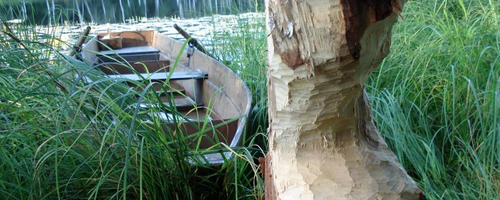 
            Фотография Большого Кульмино